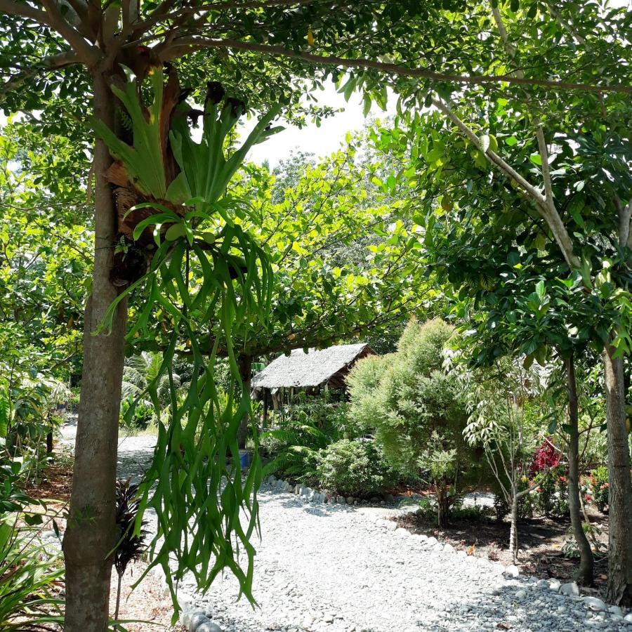 Magpie Homestay & Jungle Trekking Only For Guest Trekking With Us Bukit Lawang Ngoại thất bức ảnh