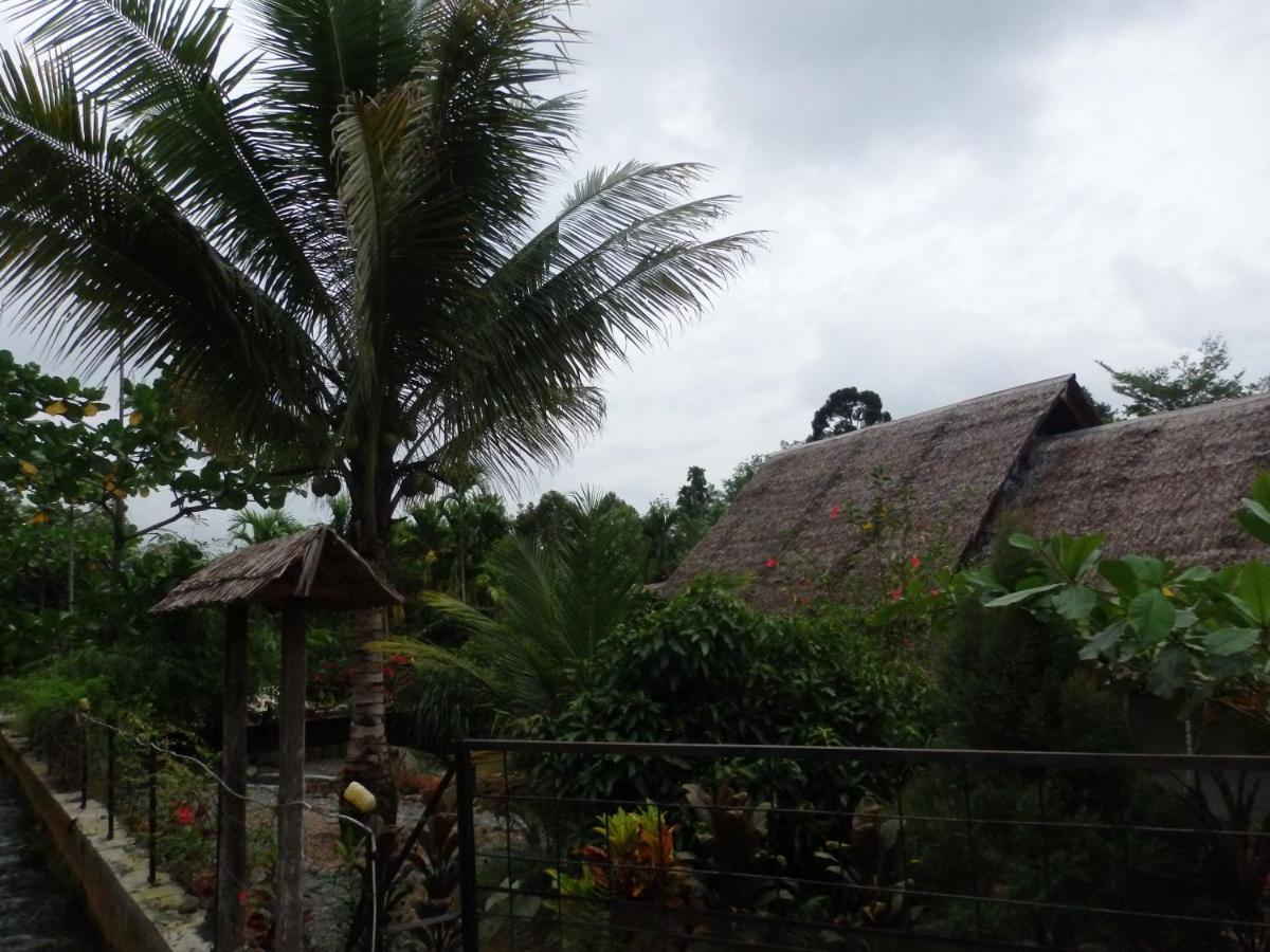 Magpie Homestay & Jungle Trekking Only For Guest Trekking With Us Bukit Lawang Ngoại thất bức ảnh