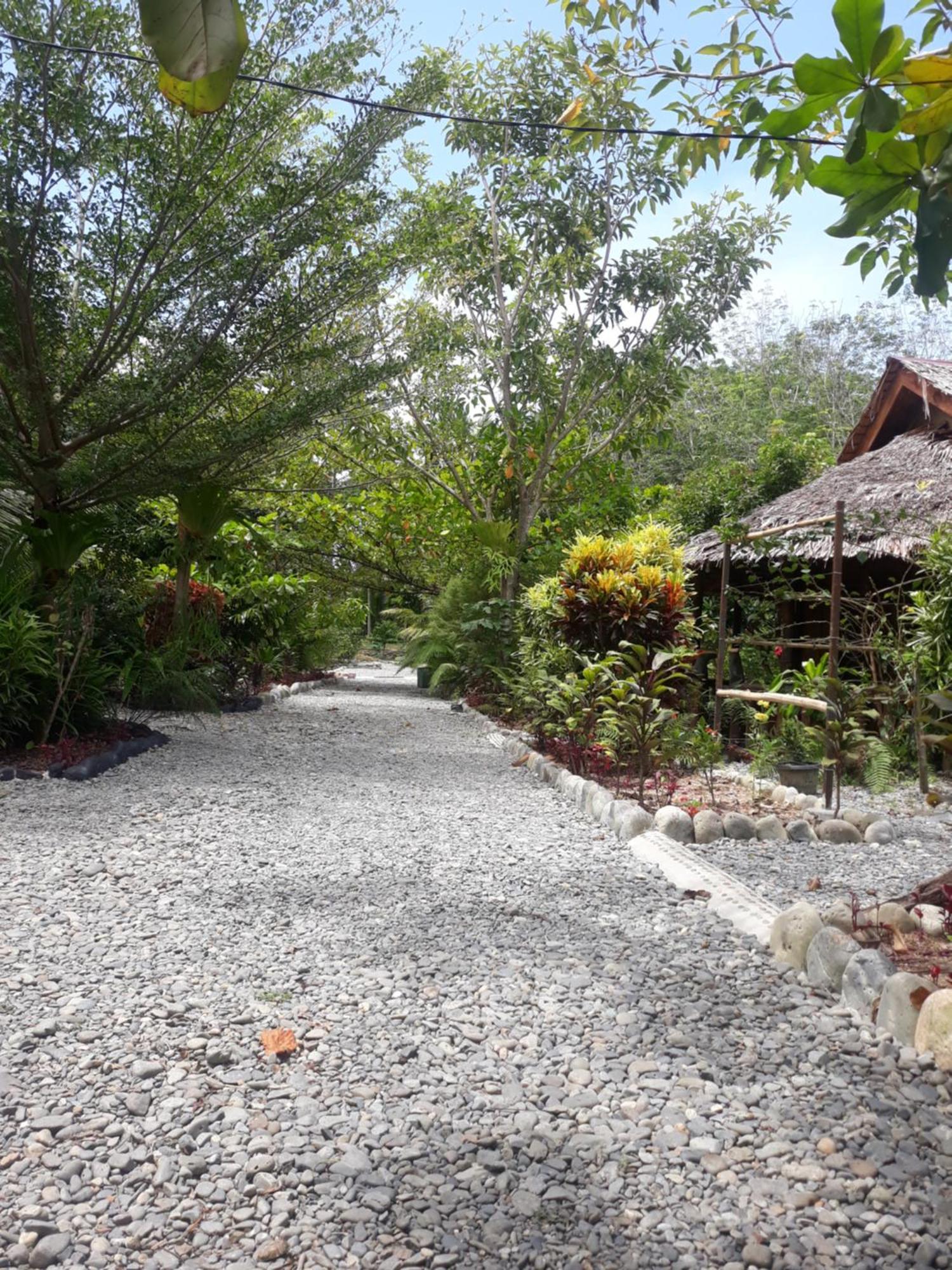 Magpie Homestay & Jungle Trekking Only For Guest Trekking With Us Bukit Lawang Ngoại thất bức ảnh