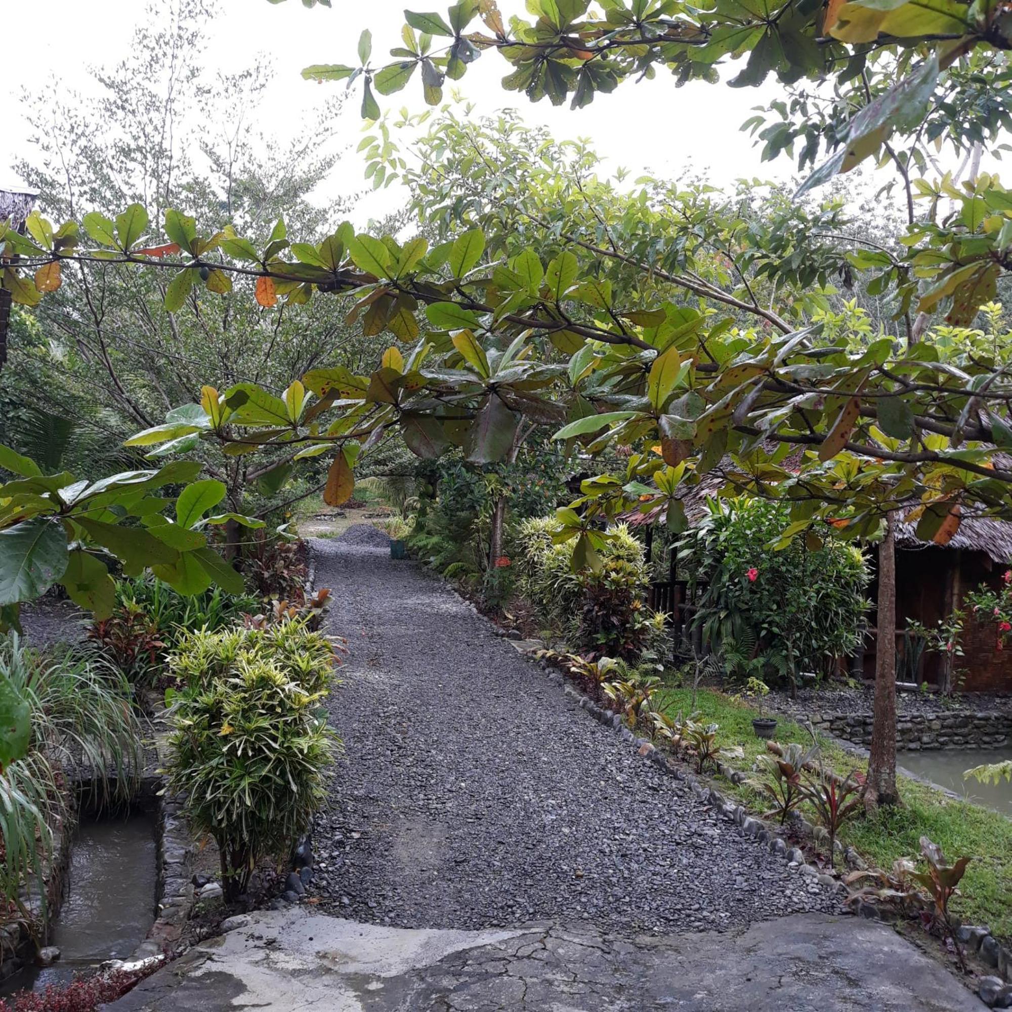Magpie Homestay & Jungle Trekking Only For Guest Trekking With Us Bukit Lawang Phòng bức ảnh