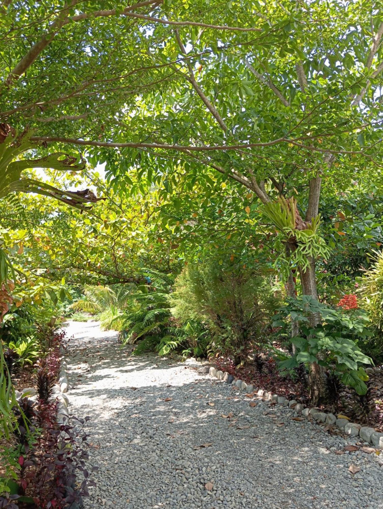 Magpie Homestay & Jungle Trekking Only For Guest Trekking With Us Bukit Lawang Ngoại thất bức ảnh