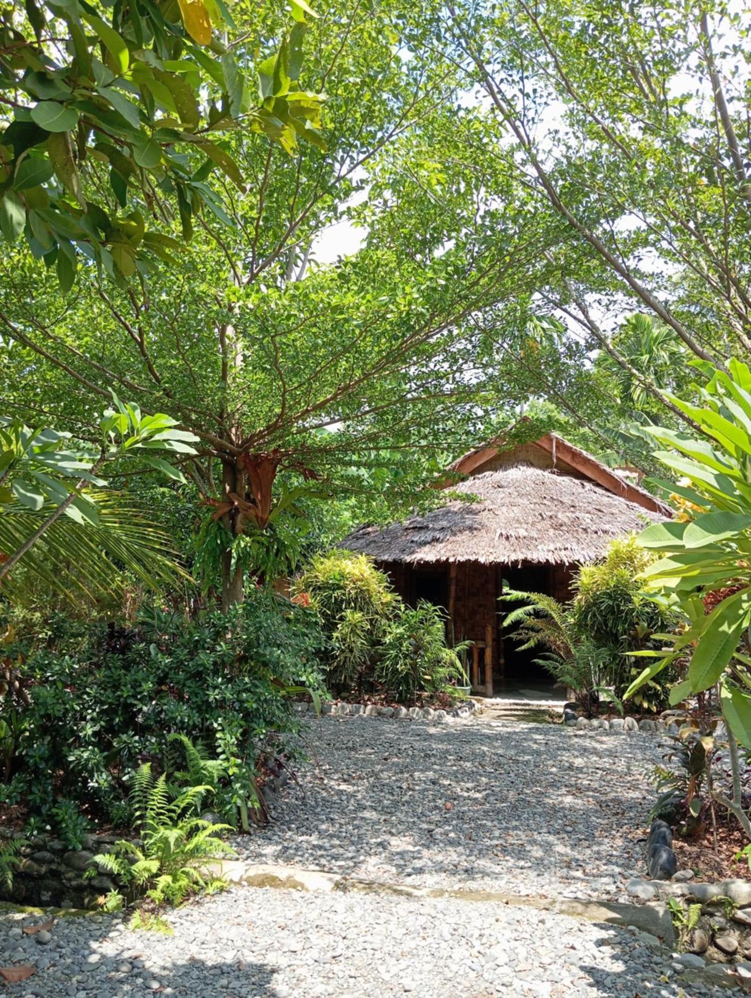 Magpie Homestay & Jungle Trekking Only For Guest Trekking With Us Bukit Lawang Ngoại thất bức ảnh