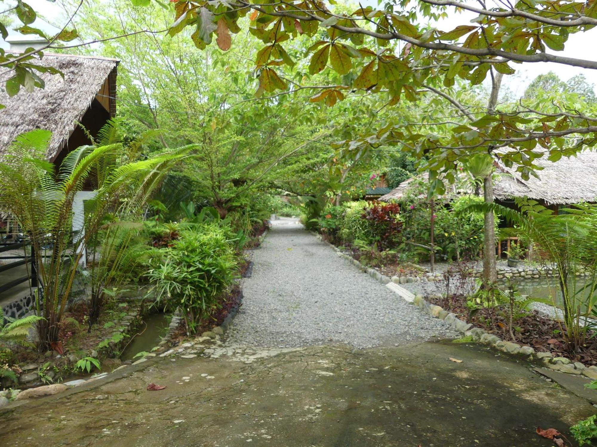 Magpie Homestay & Jungle Trekking Only For Guest Trekking With Us Bukit Lawang Ngoại thất bức ảnh